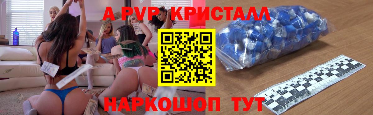 A PVP СК Обь