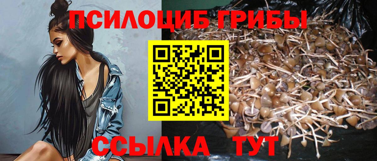 A PVP Обь